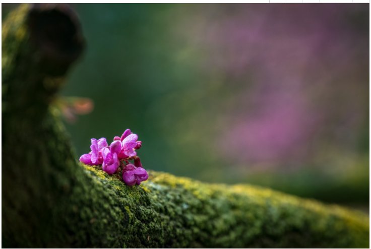 ��Ȧ-Ϊdu�����������